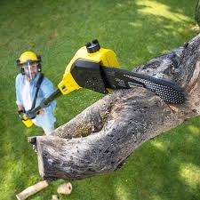 Best Lawn Irrigation Installation and Maintenance  in Larkspur, CA